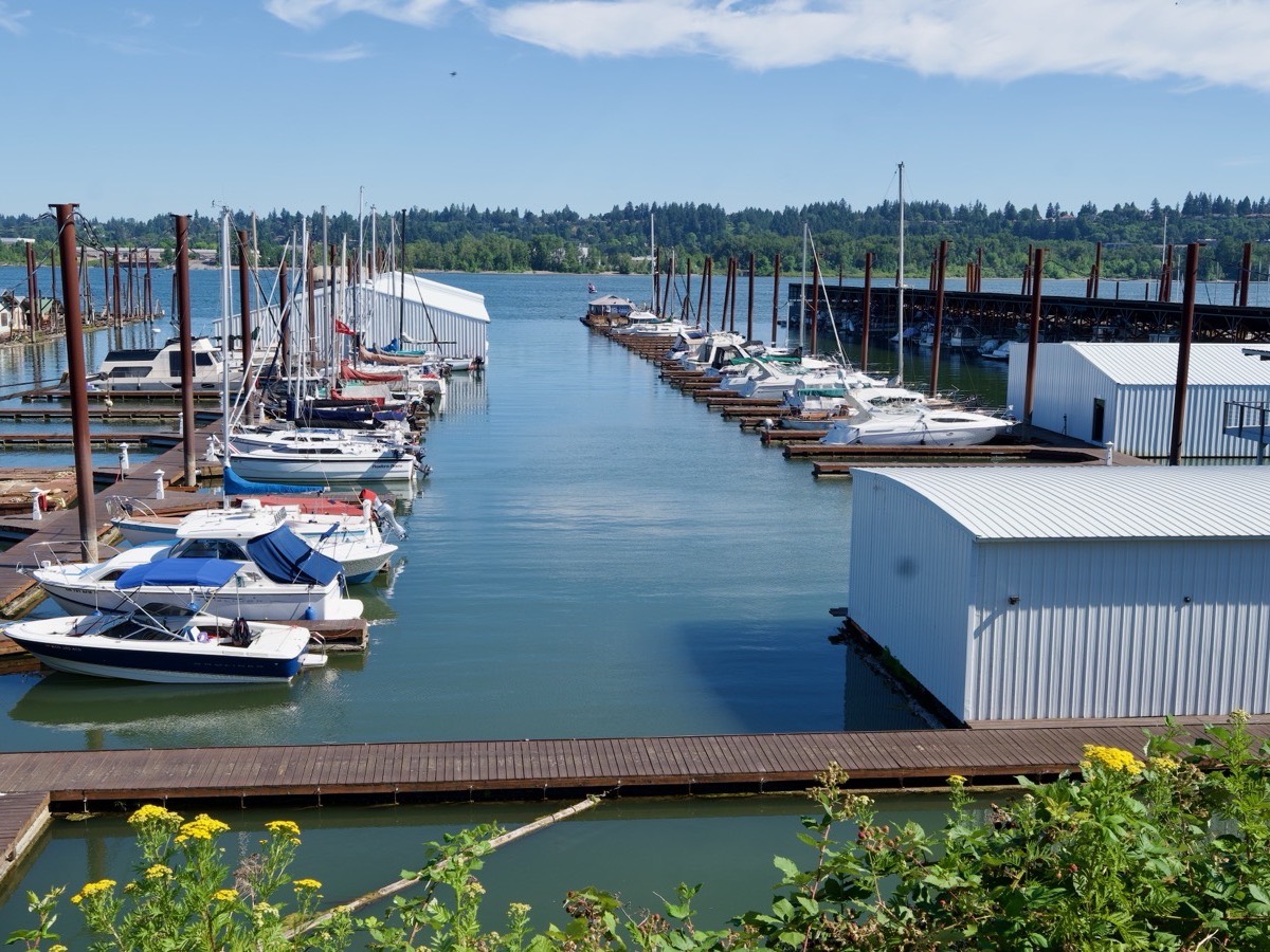 Harbor 1 Marina photo 1