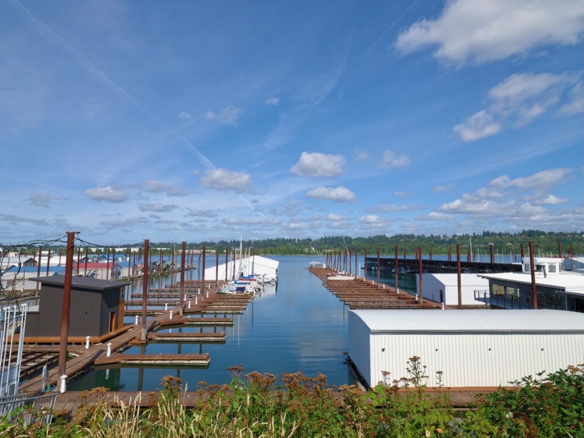 Harbor 1 Marina photo 2