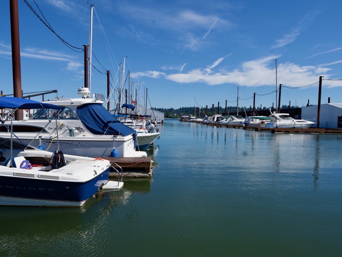 Harbor 1 Marina photo 2