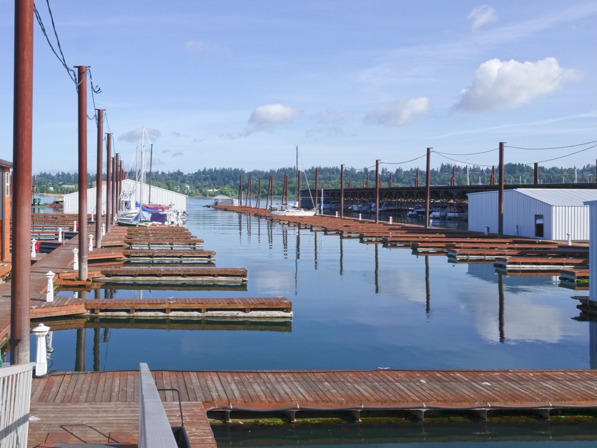 Harbor 1 Marina photo 3