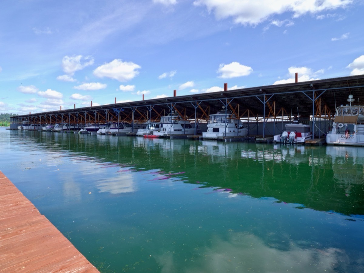 Harbor 1 Marina photo 4