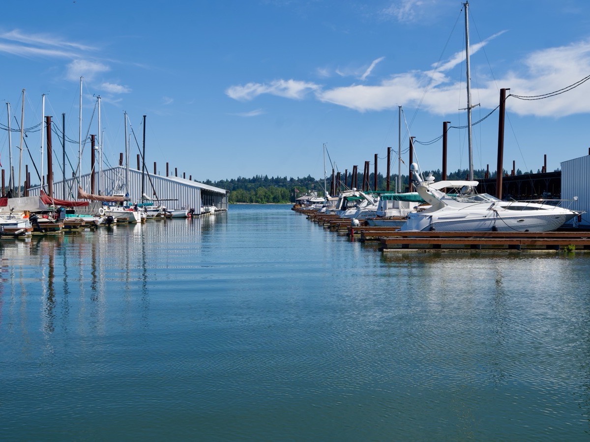 Harbor 1 Marina photo 5