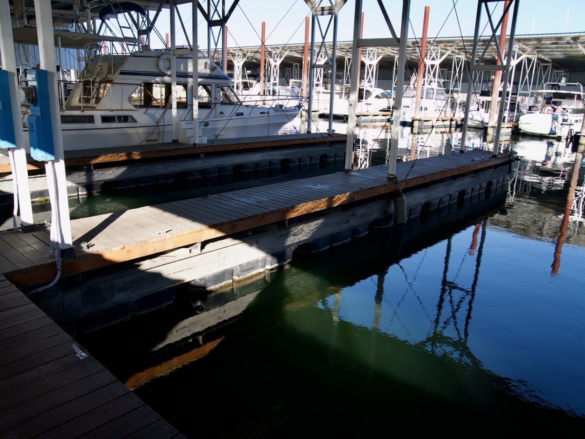 Pacmar Marina photo 3